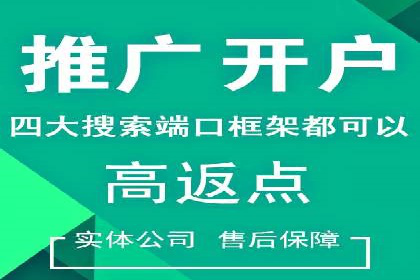 SEM代运营机构案例分析：优化策略详解
